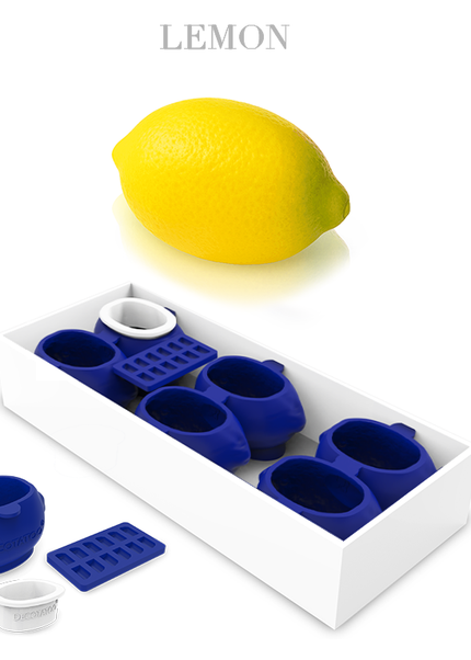 Silicone Form Lemon Essentials